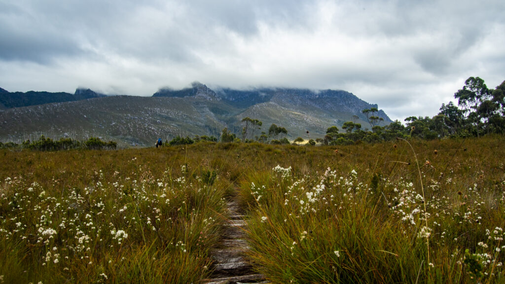 The Approach