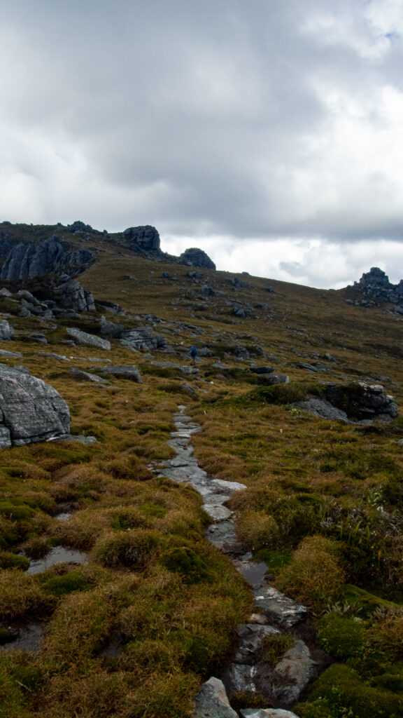 Mountain Trail