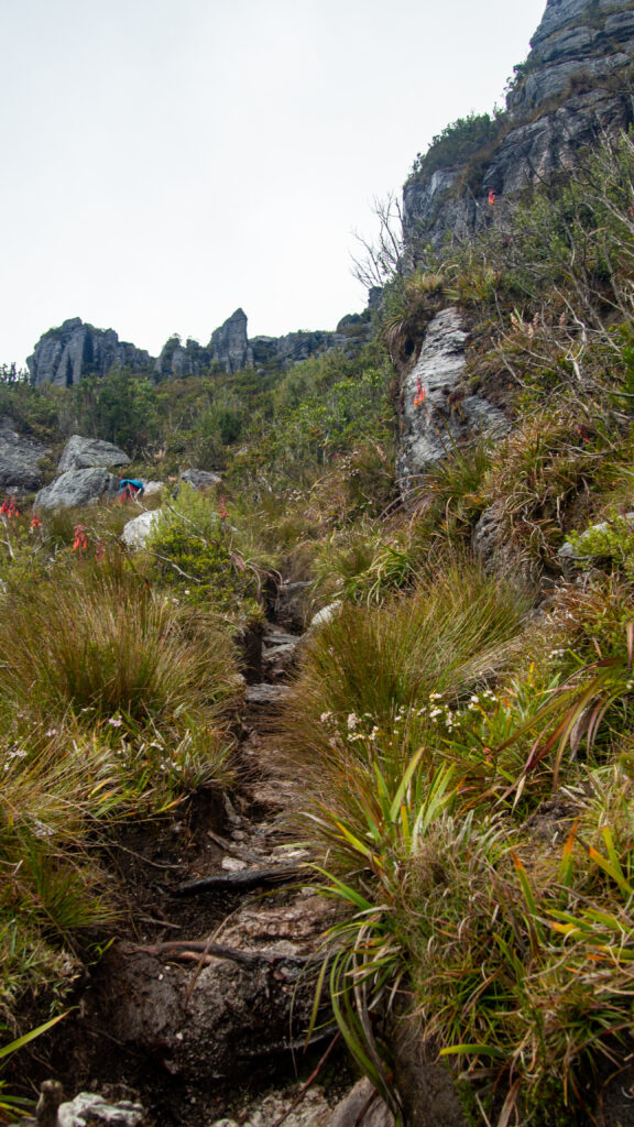 The Climb Ahead
